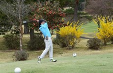 Plus de 50 golfeurs vietnamiens participent au Championnat Sakura 2023 au Japon