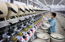 OCDE : l'économie vietnamienne devrait croître de 6,6 % cette année