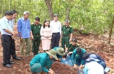 Les restes de 20 soldats tombés au combat retrouvés à Binh Phuoc