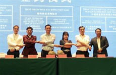 Promotion de la coopération commerciale entre Ho Chi Minh-Ville et le Guangxi (Chine)