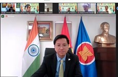 Webinaire sur les opportunités d'affaires et d'investissement entre le Vietnam et l'Inde
