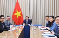 Le Vietnam et le Mozambique renforcent leur coopération multiforme