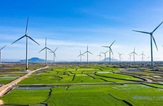 Promouvoir la croissance verte au Vietnam
