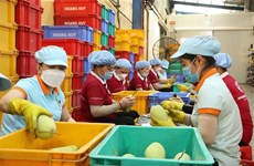 Des autorités locales cherchent à stimuler le commerce agricole Vietnam - Chine