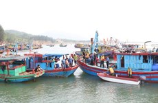 La province de Ha Tinh combat résolument la pêche INN 