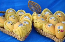  Le Vietnam, troisième fournisseur de mangues pour la République de Corée