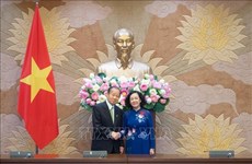 Renforcement de la confiance politique entre le Vietnam et le Japon