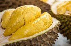 Le durian vietnamien Ri6 débarque dans les rayons des supermarchés britanniques