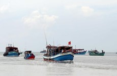 Ca Mau contribue aux efforts communs contre la pêche INN