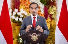 Le président indonésien souligne la solidarité de l’ASEAN lors de l’ouverture du 42e Sommet du bloc