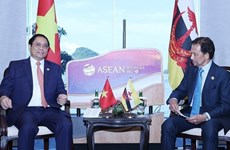 Le Premier ministre Pham Minh Chinh rencontre le sultan de Brunei