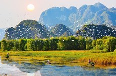 Conservation et utilisation durables des zones humides au Vietnam