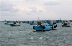 D’inlassables efforts de Binh Thuan pour mettre fin la pêche INN