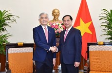 Le Vietnam et Singapour tiennent leur 15e consultation politique