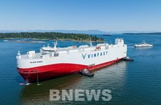Un lot de voitures électriques VinFast VF 8 arrive au Canada