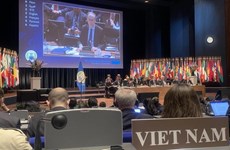 Le Vietnam à la 5e Conférence d’examen de la Convention sur les armes chimiques