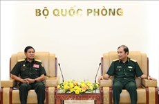 Les forces du génie du Vietnam et du Laos renforcent leur coopération