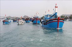 La CE enverra en octobre une équipe d'inspection de la pêche INN au Vietnam 