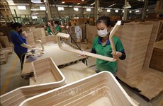 Les entreprises de bois de Binh Duong déploient de grands efforts pour surmonter les difficultés