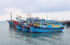 INN : 99% des navires de pêche Binh Thuân dotés du système de surveillance par satellite