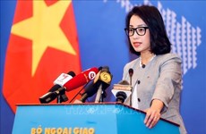 Le Vietnam s'oppose à l'installation par la Chine de balises à Truong Sa