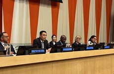 Le Vietnam exhorte les organes des Nations unies à soutenir efficacement les pays