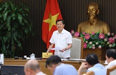 Pour une restructuration du Groupe chimique du Vietnam pour la période 2021 – 2025