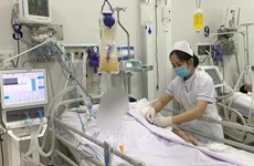 Les antitoxines offertes par l’OMS contre le botulisme arrivent au Vietnam