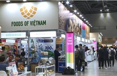 Des entreprises vietnamiennes affirment leur position en Corée du Sud
