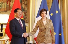 Le Vietnam et la France veulent porter leur coopération à une nouvelle hauteur