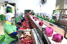 Renforcement de la coopération Vietnam-Chine dans le commerce des produits agricoles