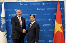 Le ministre des Affaires étrangères rencontre le Secrétaire général de l’OCDE