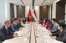 Vietnam, partenaire prioritaire de la politique « d’ouverture à l’Est » de la Hongrie