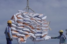 L'Indonésie signe un protocole d'accord sur l'importation d’un million de tonnes de riz d'Inde