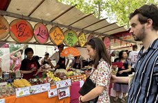 Ici Vietnam Festival: découvrez le Vietnam en plein Paris