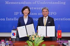 Le Vietnam et la République de Corée coopèrent plus sur la propriété intellectuelle 