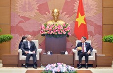 Le vice-président de l'AN Nguyen Duc Hai reçoit le président du groupe Huyndai Motor