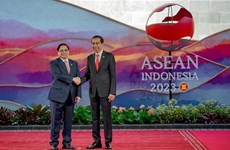Dix ans de partenariat stratégique Vietnam - Indonésie: Des progrès dans divers domaines