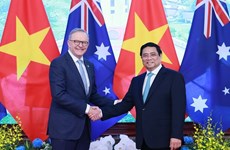 La "diplomatie du bambou" du Vietnam reflète la cohésion du pays avec la communauté internationale
