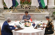 Le ministre des AE indonésien discute de la situation régionale avec ses homologues australien et indien