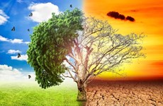 Réduction de l'impact du changement climatique sur la croissance verte et le développement durable 