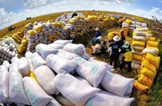 Les exportations de riz rapportent 2,4 milliards de dollars en six mois et demi