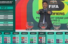 Football : le Vietnam aux éliminatoires de la Coupe du monde 2026 et de la Coupe d'Asie 2027