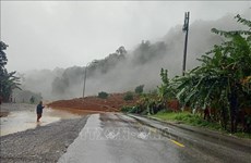 Quatre disparus dans le glissement de terrain à Lâm Dông