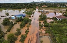 Le Cambodge appelle à rester vigilance des inondations dues à la montée des eaux du Mékong