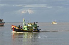 Lutte contre la pêche INN: Binh Thuan se prépare bien à l’inspection de la CE