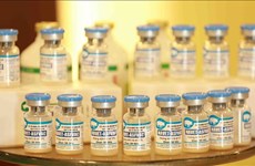 Exportation de vaccin contre la peste porcine africaine vers les Philippines et l'Indonésie