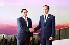 Renforcement du partenariat stratégique Vietnam-Indonésie