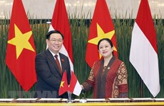 La presse indonésienne souligne les liens étroits entre l’Indonésie et le Vietnam