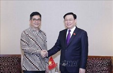 Le chef de l'AN Vuong Dinh Hue rencontre le chef de la Chambre de commerce et d'industrie indonésienne